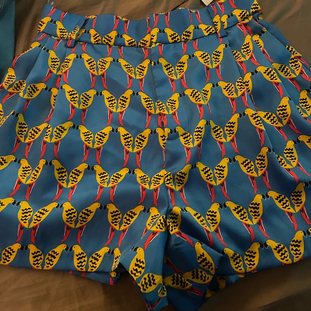 COPY - Zara satin short